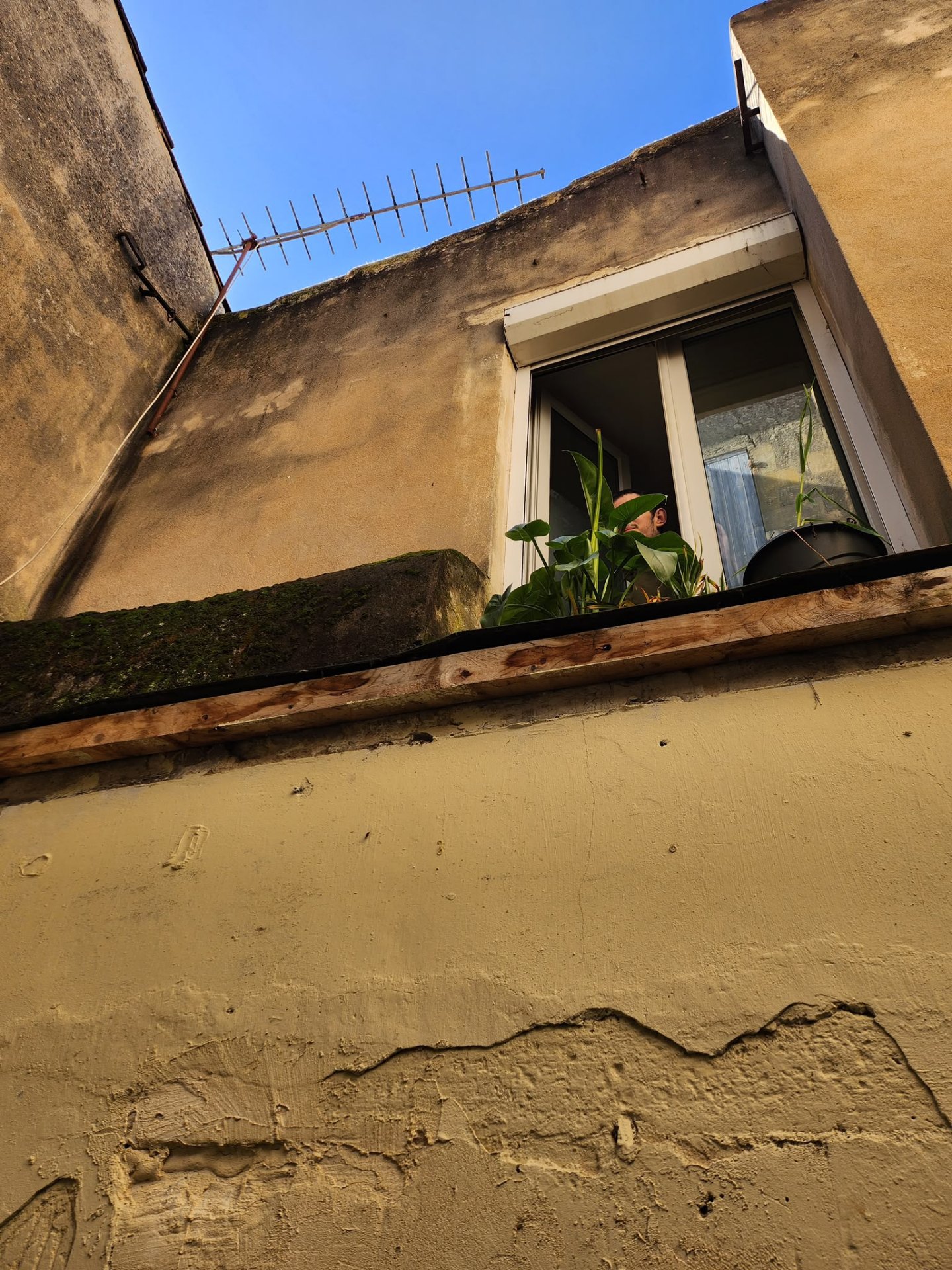 Mur de cour avant travaux, enduit taché et fissuré